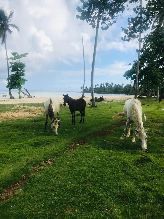 Oasis En La Naturaleza Rancho Alto Bonito Las Galeras Luaran gambar